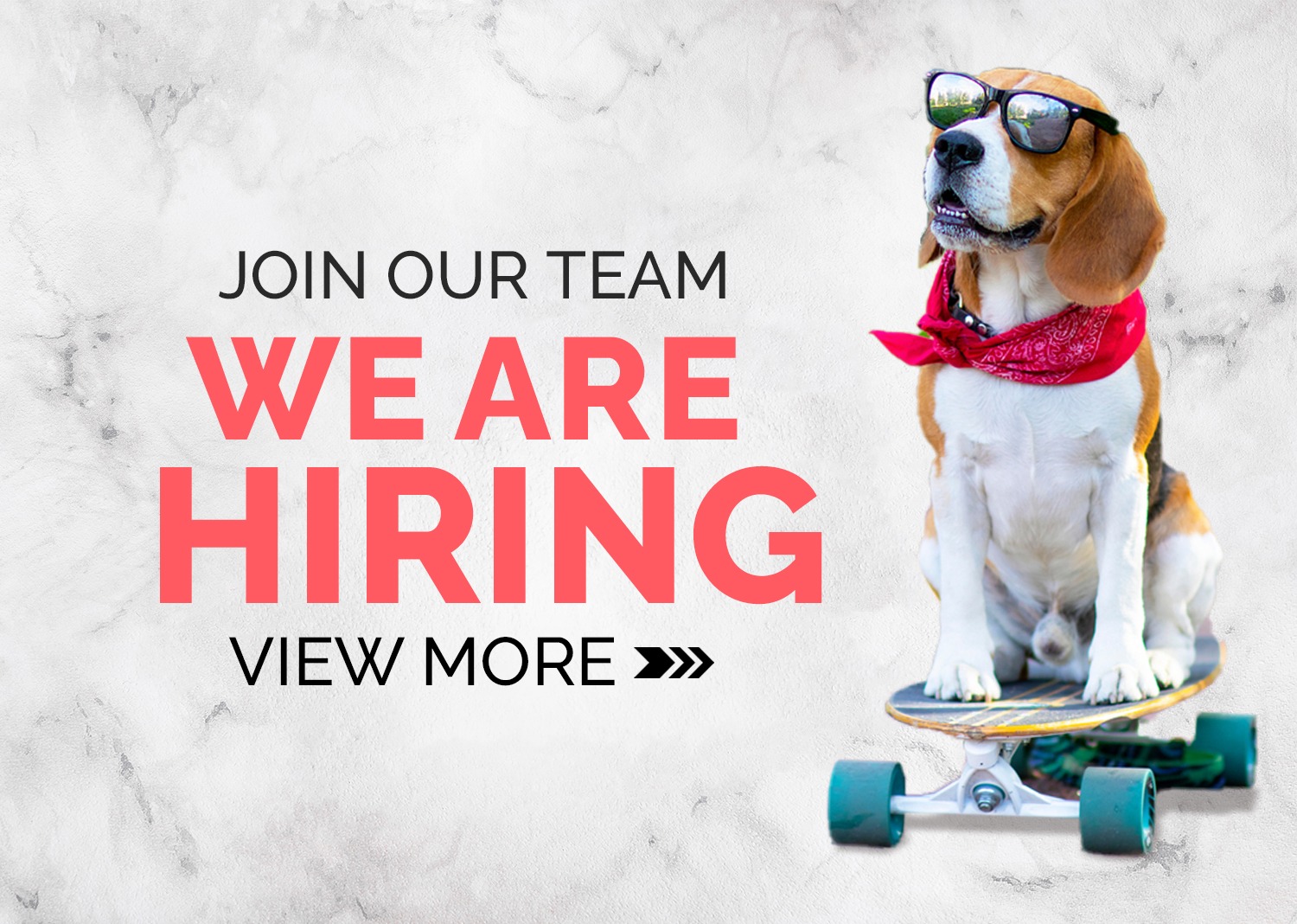 PET MASTER Comprehensive Online Pet Shop in Singapore